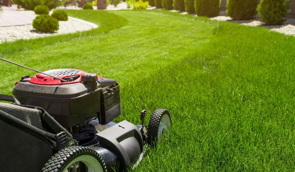 Lawn Mowing Services in Warrington